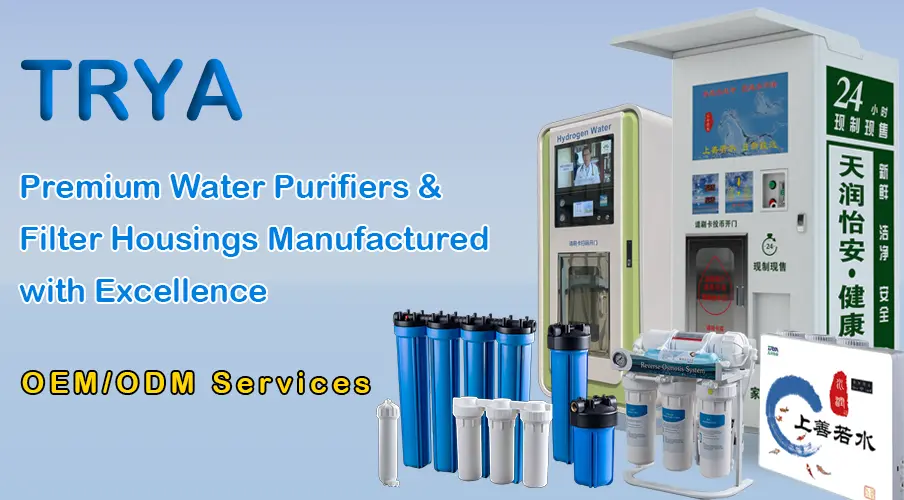 bjtrya.com/wordpress