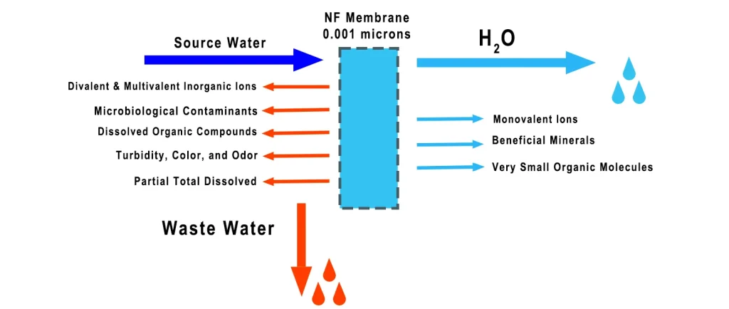 Nanofiltration (NF) membrane filtration diagram showing removal of divalent salts, heavy metals, bacteria, viruses, pesticides, and organic matter, while retaining some monovalent salts and essential minerals, producing softened and safe drinking water.