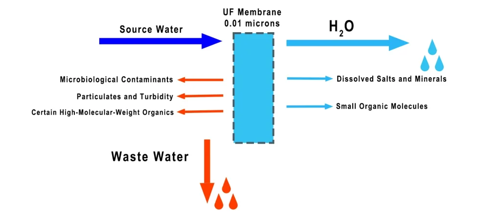 Ultrafiltration (UF) membrane filtration diagram showing removal of suspended solids, bacteria, protozoa, and some viruses, while retaining dissolved salts and essential minerals, producing clear and safe drinking water.